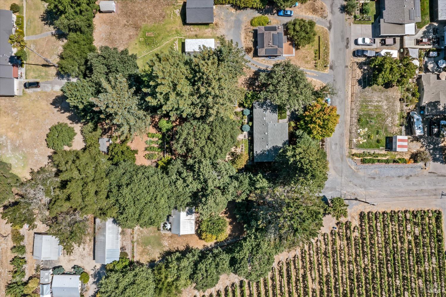 Detail Gallery Image 8 of 52 For 4165 Shook Rd, Sebastopol,  CA 95472 - 3 Beds | 2 Baths