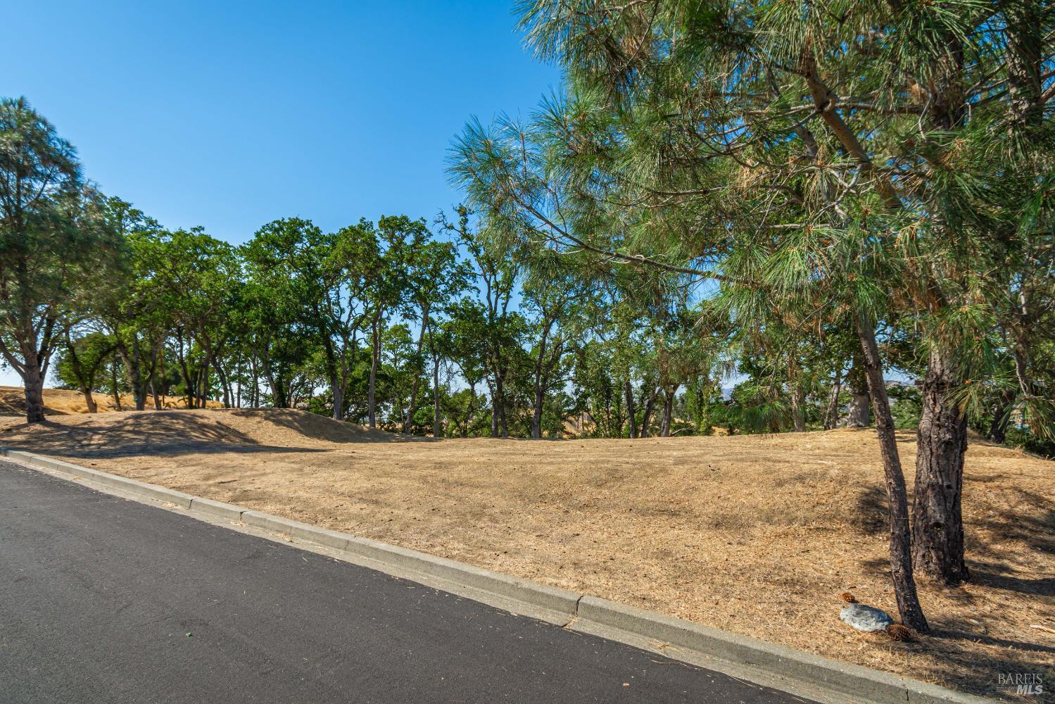 Detail Gallery Image 18 of 31 For 414 Woodhaven Ct, Napa,  CA 94558 - – Beds | – Baths
