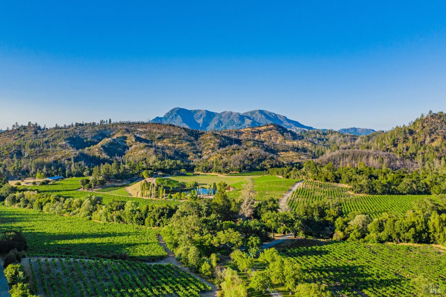Detail Gallery Image 1 of 98 For 8320 Franz Valley Rd, Calistoga,  CA 94515 - 8 Beds | 8/2 Baths