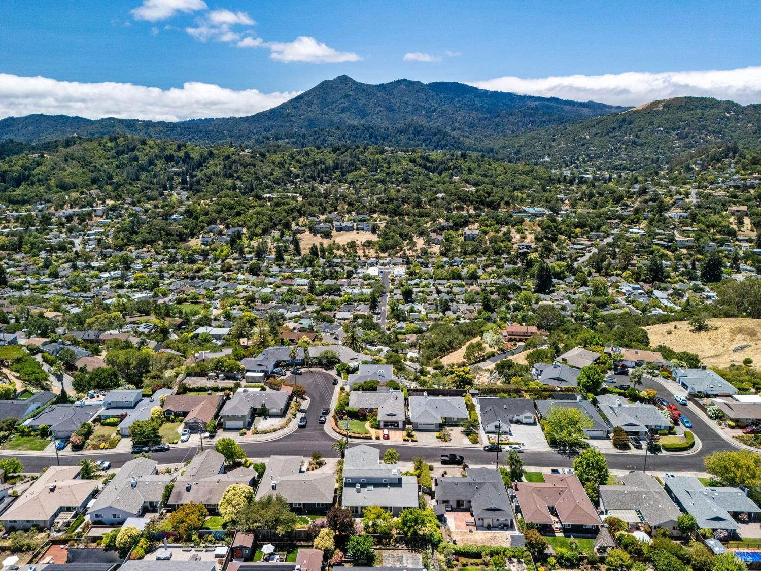 Detail Gallery Image 61 of 75 For 34 Crestwood Dr, San Rafael,  CA 94901 - 4 Beds | 3 Baths