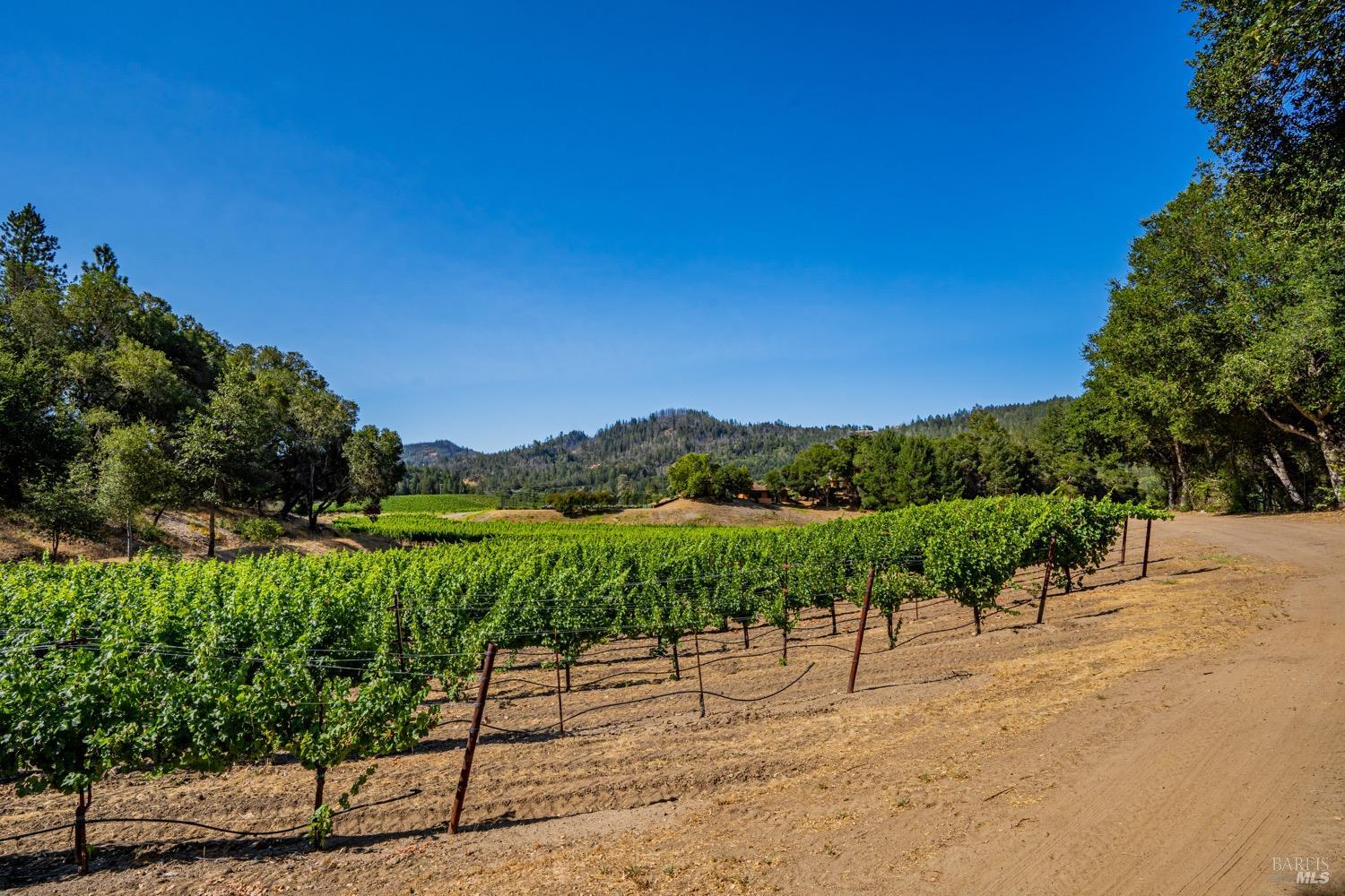 Detail Gallery Image 77 of 98 For 8320 Franz Valley Rd, Calistoga,  CA 94515 - 8 Beds | 8/2 Baths