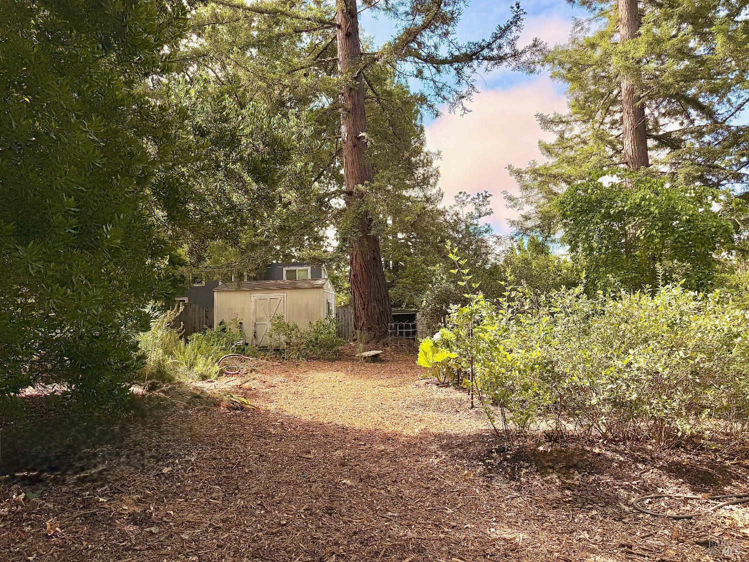 Detail Gallery Image 52 of 52 For 4165 Shook Rd, Sebastopol,  CA 95472 - 3 Beds | 2 Baths