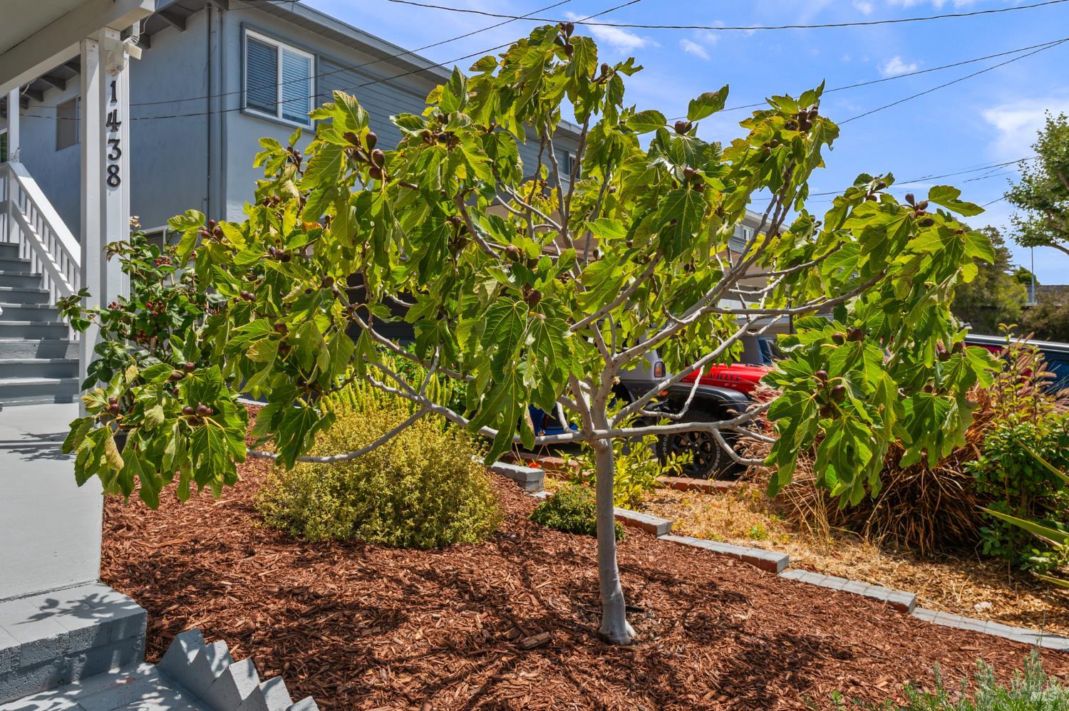 Detail Gallery Image 39 of 39 For 1438 Merced St, Richmond,  CA 94804 - 3 Beds | 2 Baths