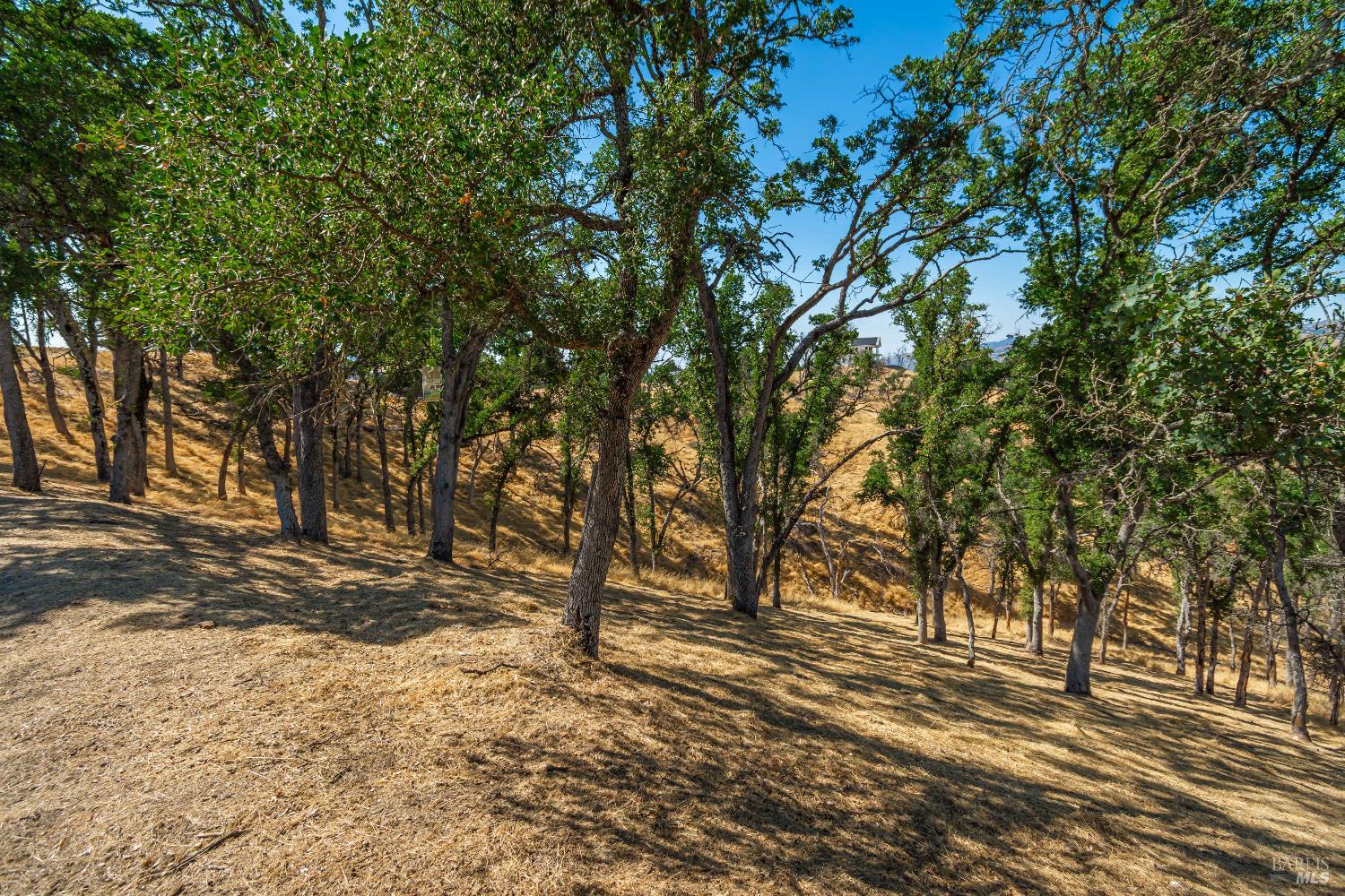 Detail Gallery Image 22 of 31 For 414 Woodhaven Ct, Napa,  CA 94558 - – Beds | – Baths