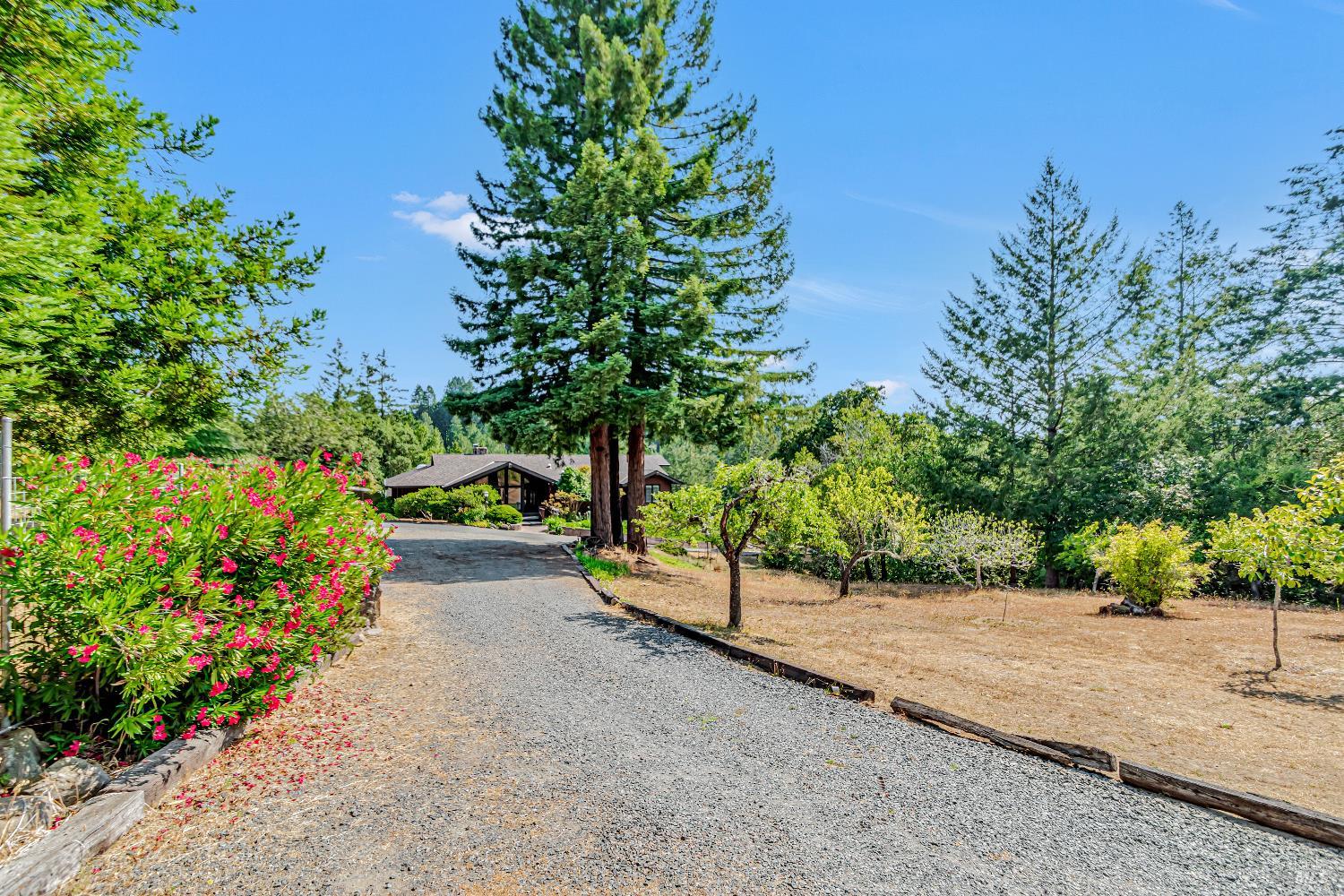 Detail Gallery Image 62 of 63 For 3415 Harrison Grade Rd, Sebastopol,  CA 95472 - 3 Beds | 3 Baths