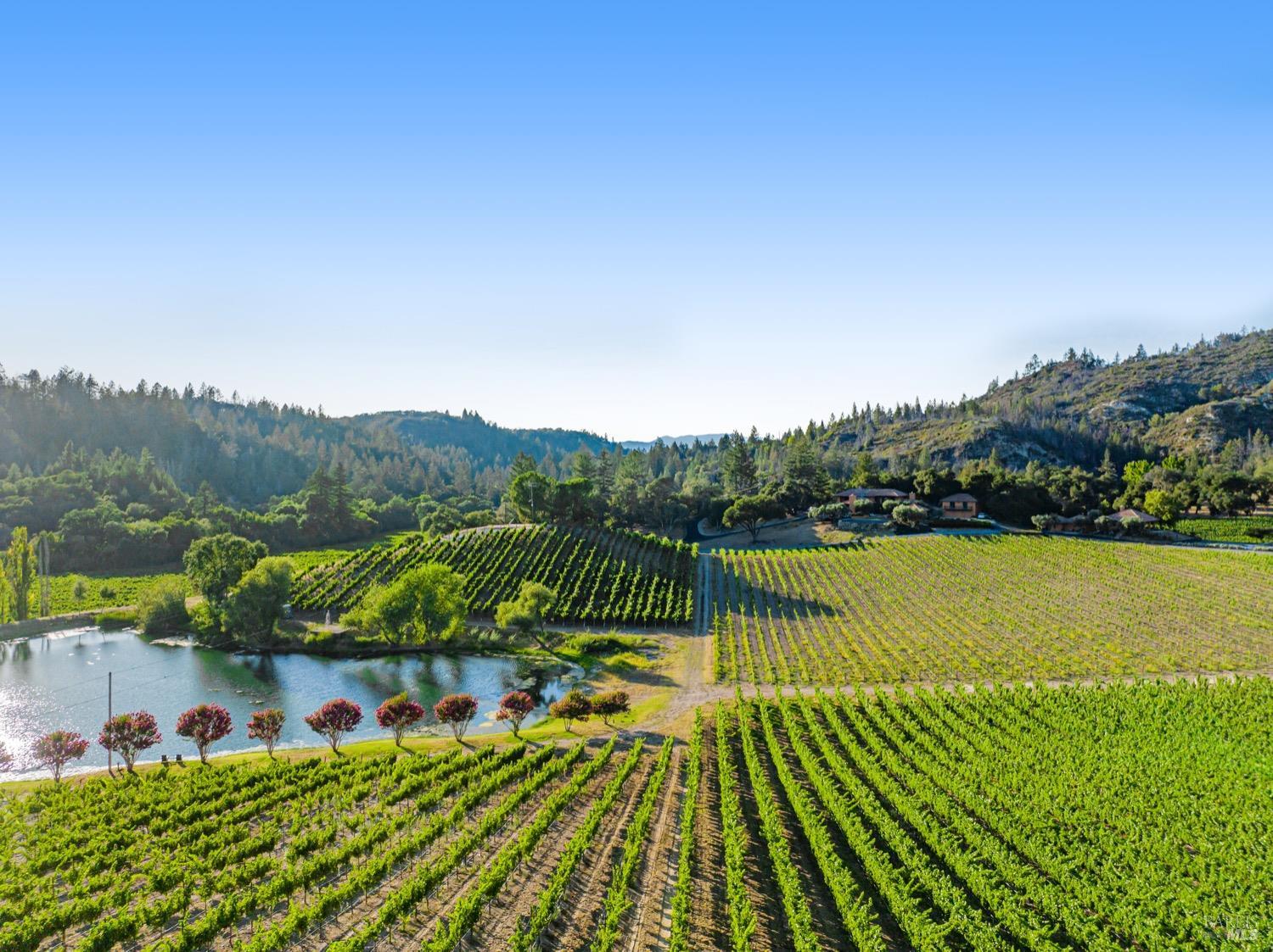 Detail Gallery Image 72 of 98 For 8320 Franz Valley Rd, Calistoga,  CA 94515 - 8 Beds | 8/2 Baths