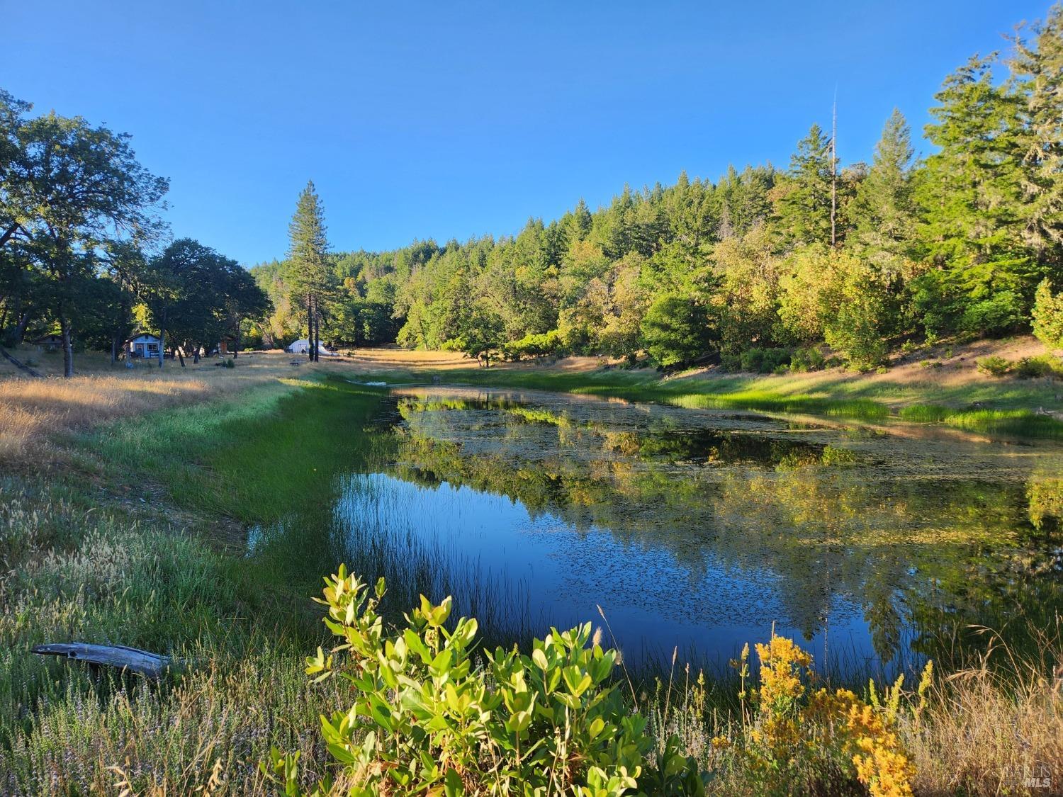 Detail Gallery Image 31 of 43 For 97420 Mina Rd, Covelo,  CA 95428 - 2 Beds | 1 Baths