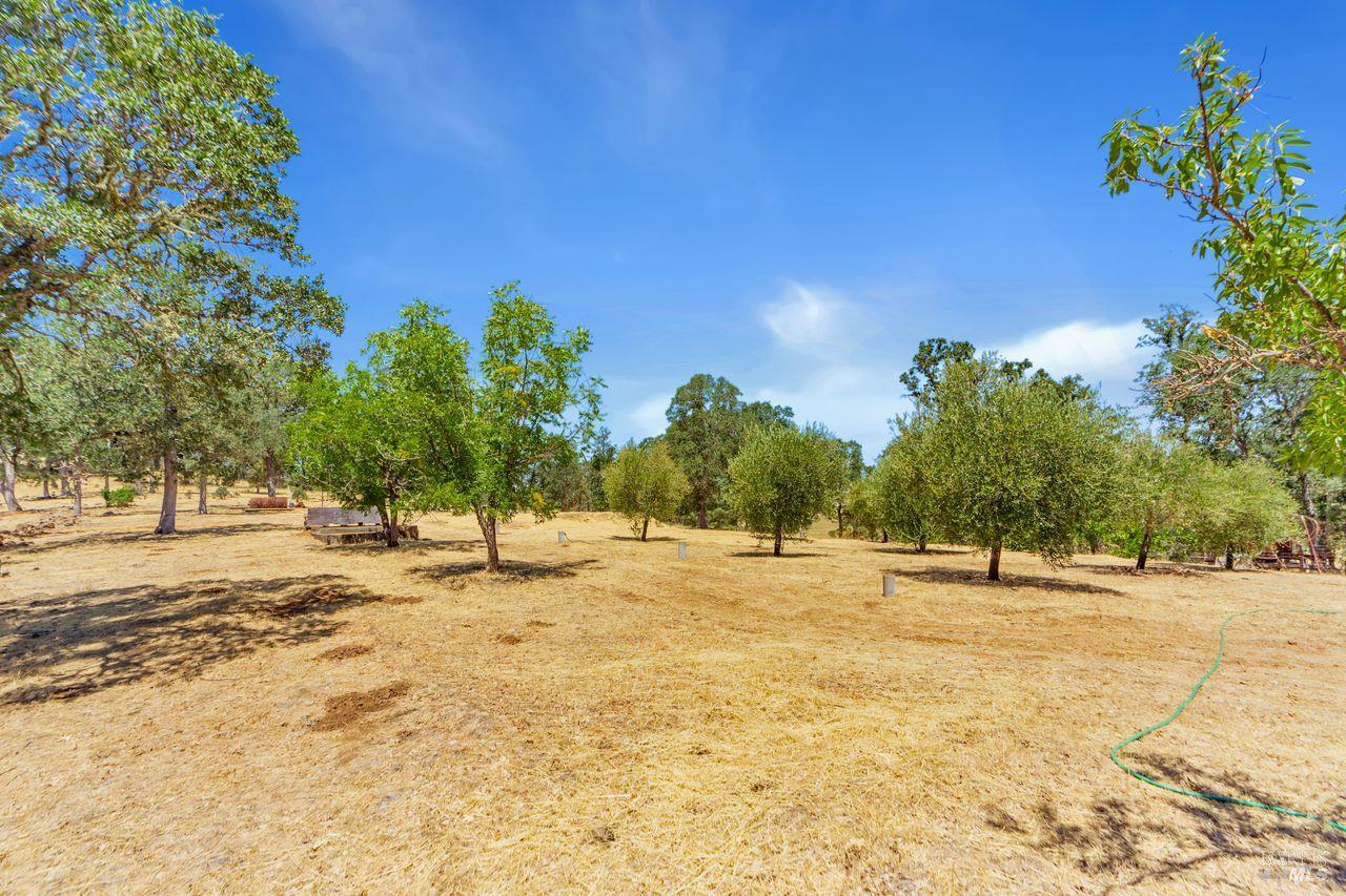 Detail Gallery Image 30 of 42 For 17277 Butts Canyon Rd, Middletown,  CA 95461 - 0 Beds | 1/1 Baths