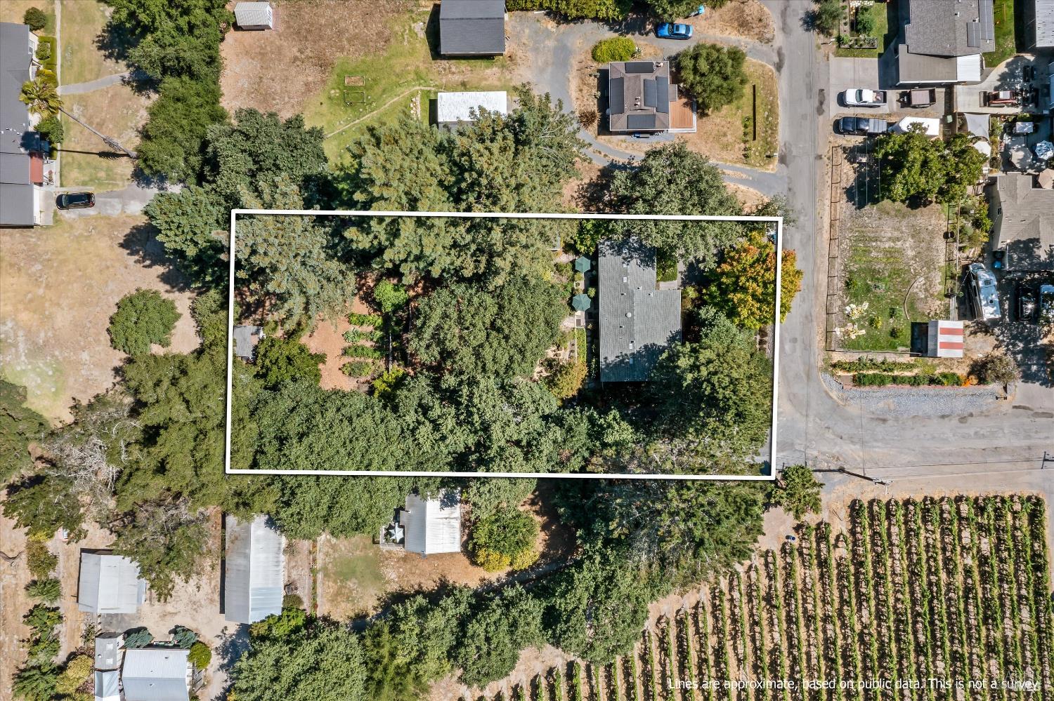 Detail Gallery Image 6 of 52 For 4165 Shook Rd, Sebastopol,  CA 95472 - 3 Beds | 2 Baths