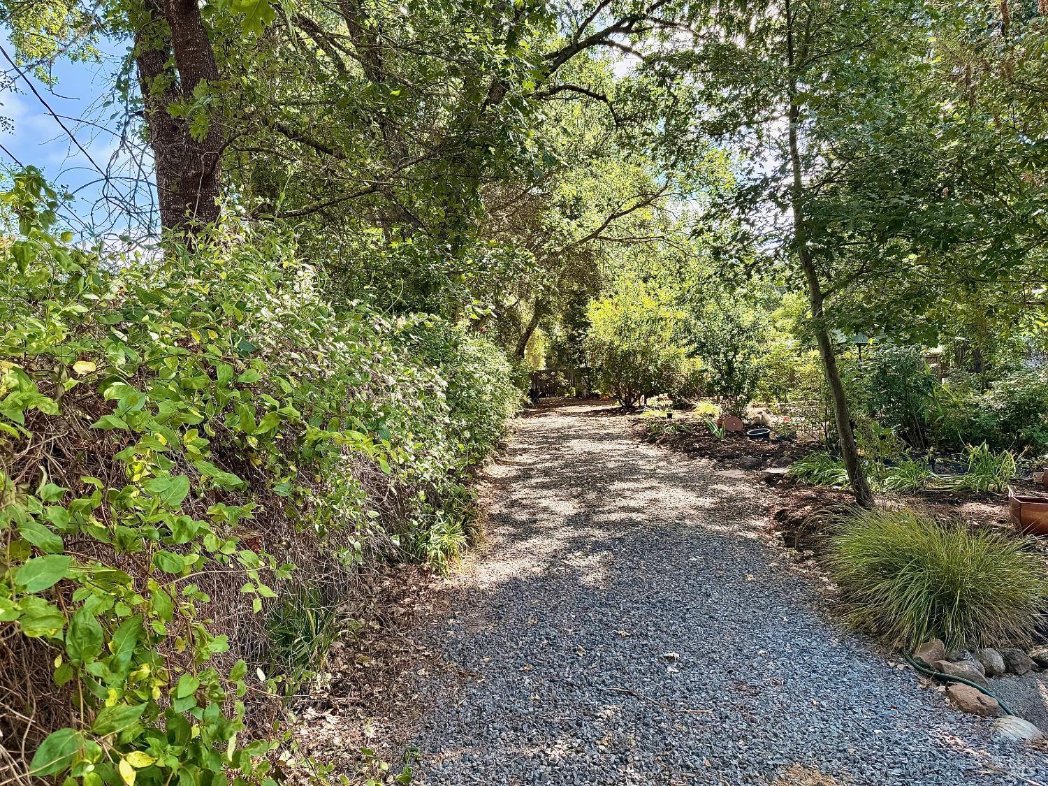 Detail Gallery Image 41 of 52 For 4165 Shook Rd, Sebastopol,  CA 95472 - 3 Beds | 2 Baths