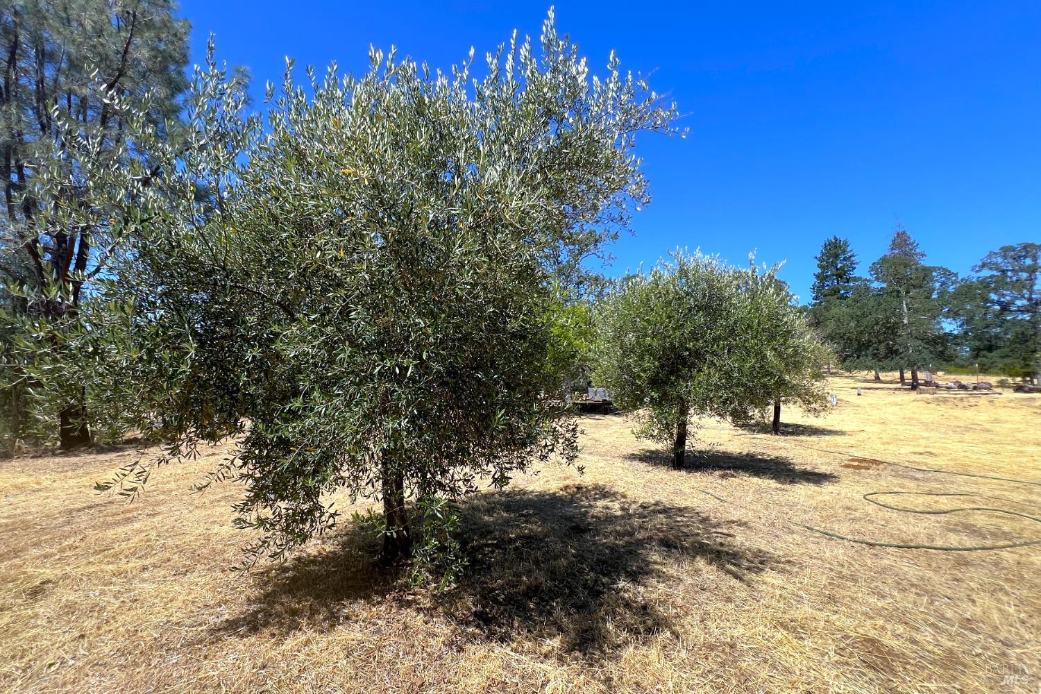 Detail Gallery Image 29 of 42 For 17277 Butts Canyon Rd, Middletown,  CA 95461 - 0 Beds | 1/1 Baths