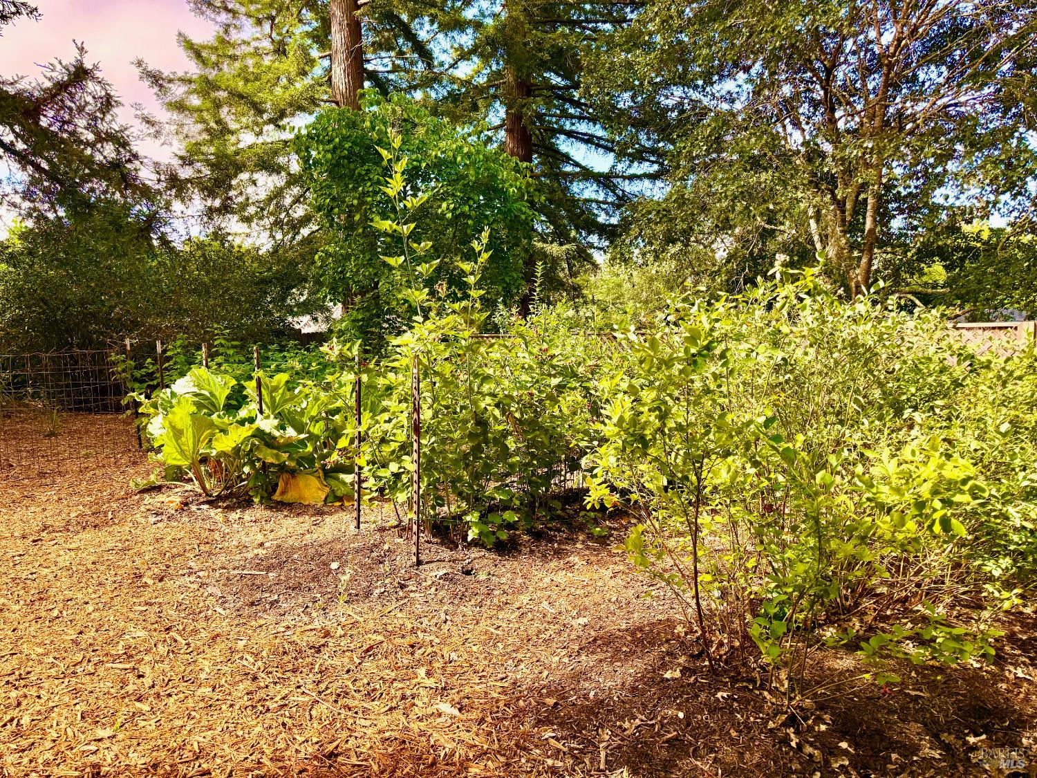 Detail Gallery Image 51 of 52 For 4165 Shook Rd, Sebastopol,  CA 95472 - 3 Beds | 2 Baths