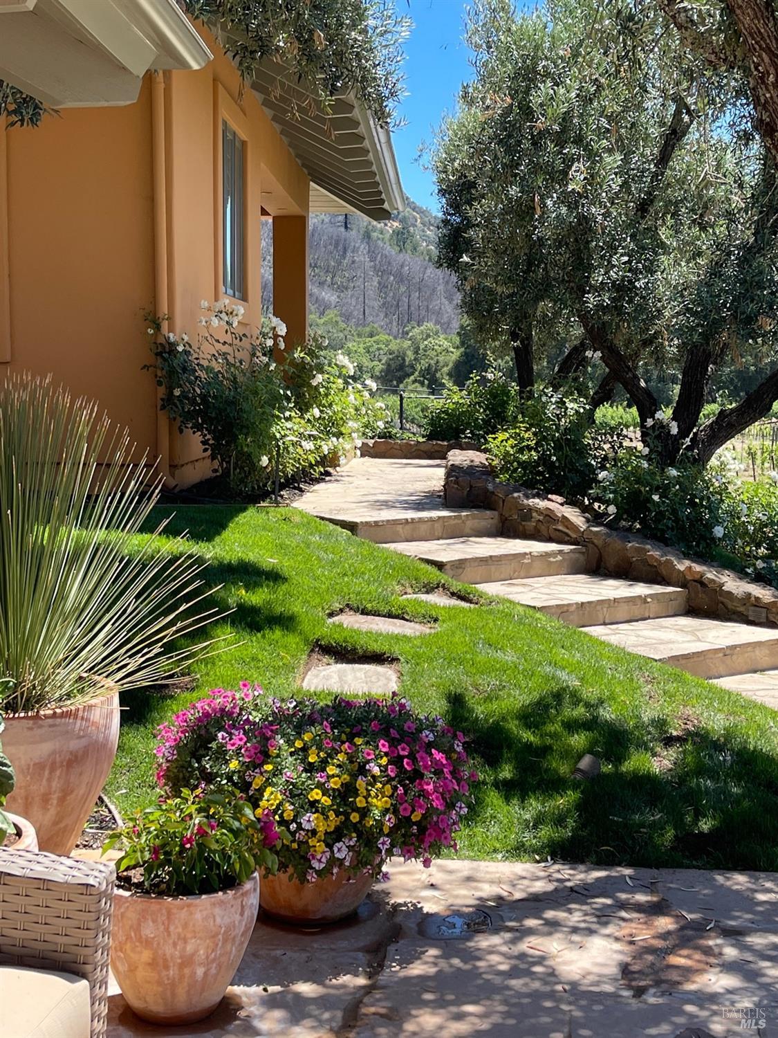 Detail Gallery Image 59 of 98 For 8320 Franz Valley Rd, Calistoga,  CA 94515 - 8 Beds | 8/2 Baths