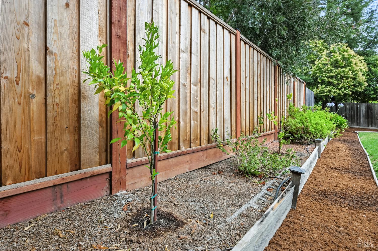Detail Gallery Image 52 of 54 For 519 Mallory Ave, Windsor,  CA 95492 - 4 Beds | 2/1 Baths