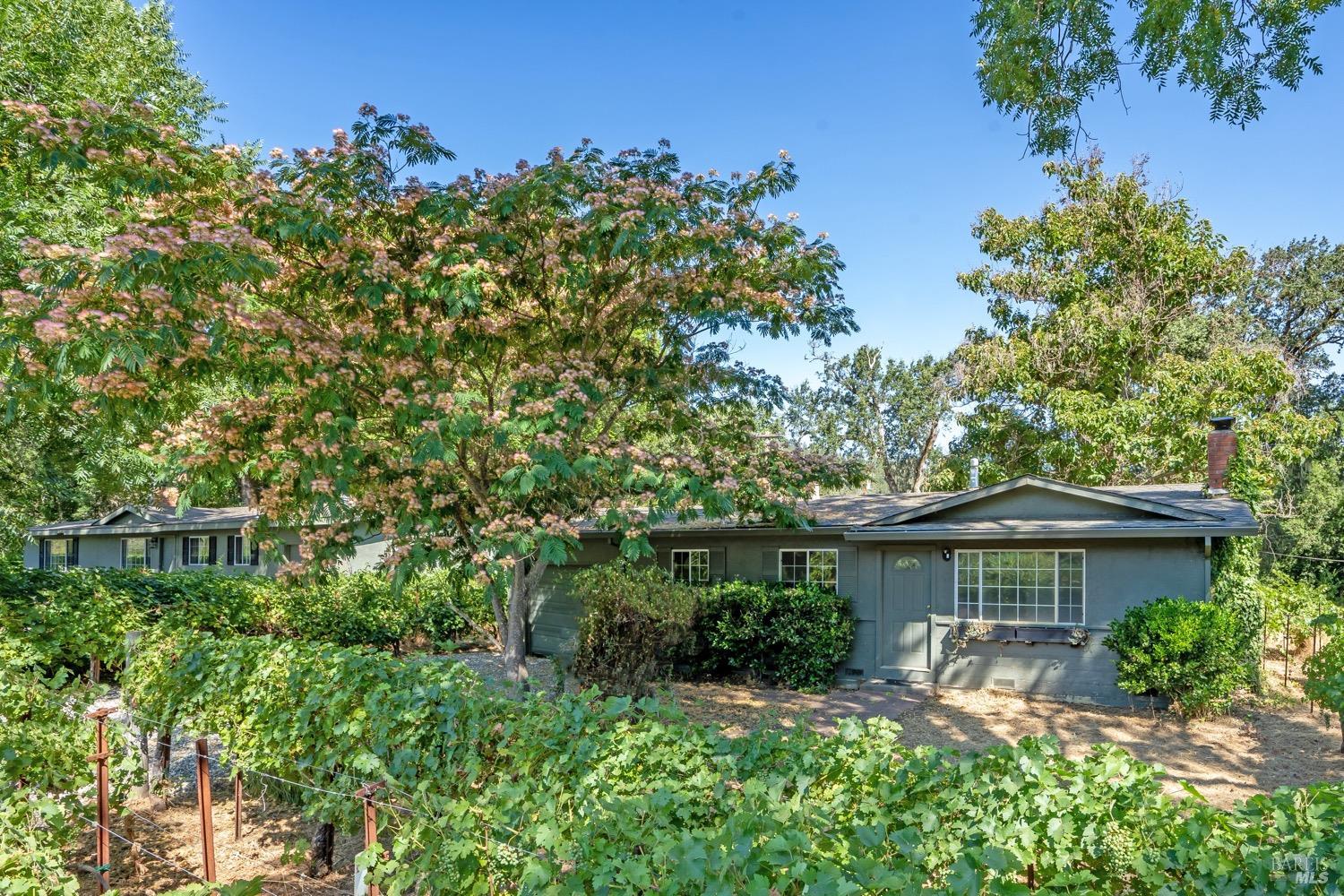 Detail Gallery Image 86 of 98 For 8320 Franz Valley Rd, Calistoga,  CA 94515 - 8 Beds | 8/2 Baths