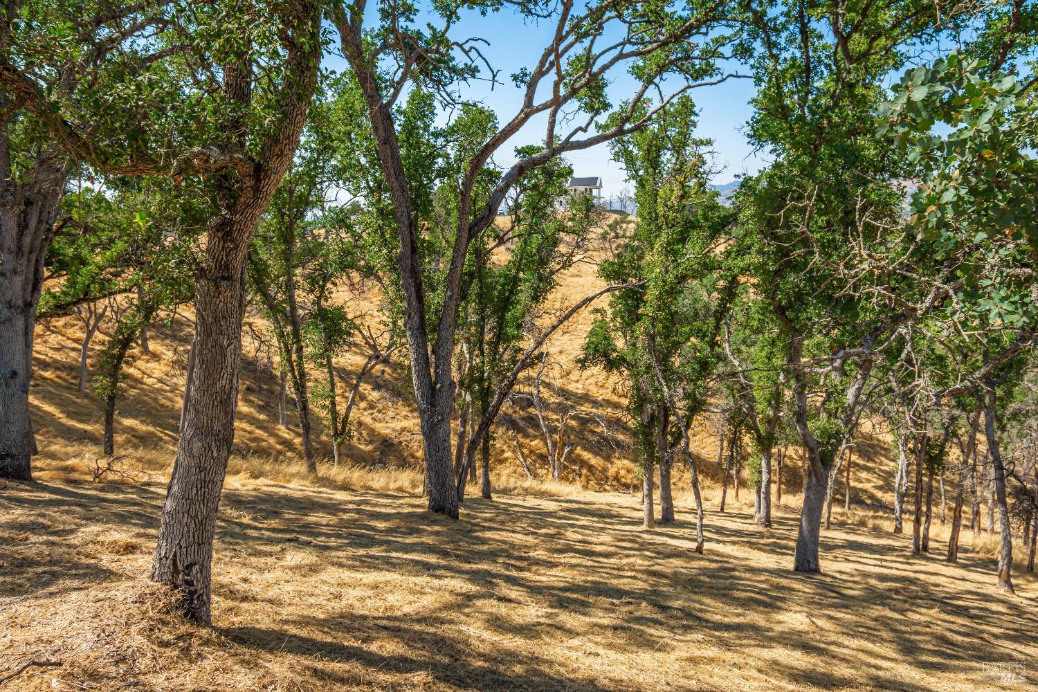Detail Gallery Image 23 of 31 For 414 Woodhaven Ct, Napa,  CA 94558 - – Beds | – Baths