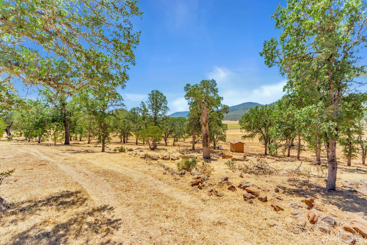 Detail Gallery Image 32 of 42 For 17277 Butts Canyon Rd, Middletown,  CA 95461 - 0 Beds | 1/1 Baths