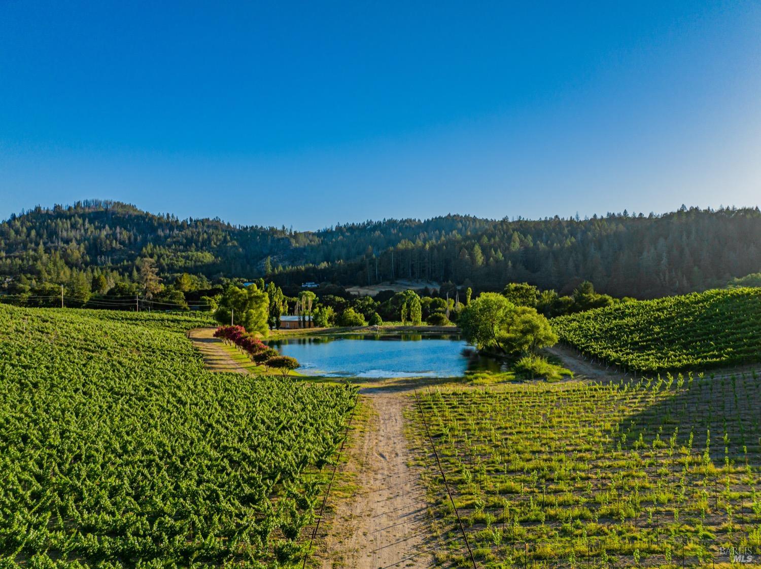 Detail Gallery Image 90 of 98 For 8320 Franz Valley Rd, Calistoga,  CA 94515 - 8 Beds | 8/2 Baths