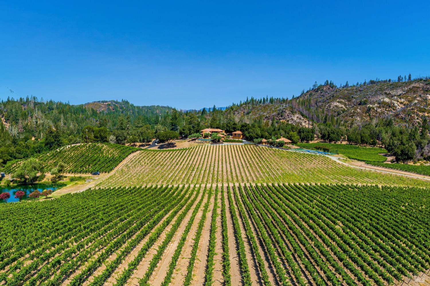 Detail Gallery Image 2 of 98 For 8320 Franz Valley Rd, Calistoga,  CA 94515 - 8 Beds | 8/2 Baths