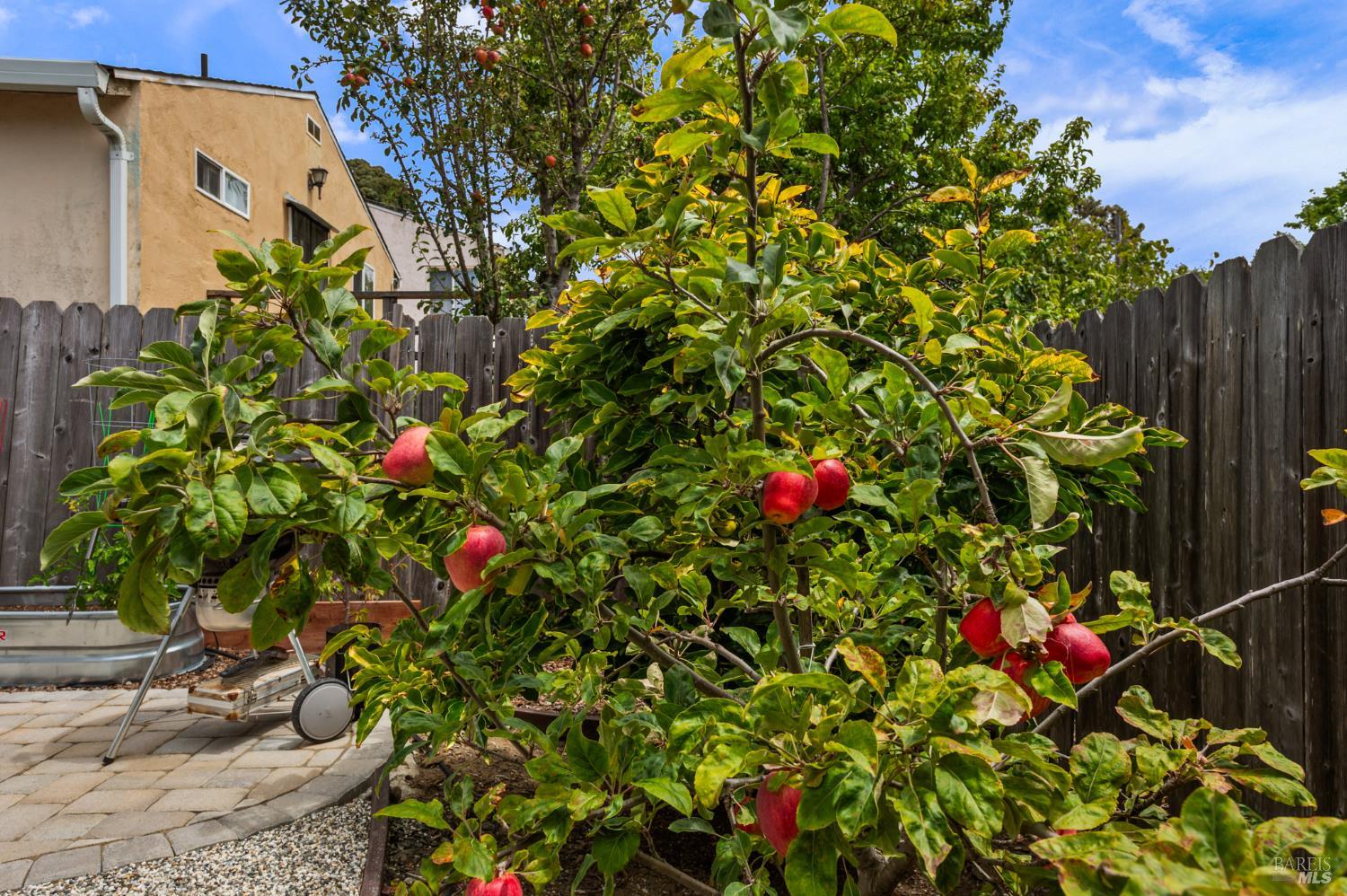 Detail Gallery Image 30 of 39 For 1438 Merced St, Richmond,  CA 94804 - 3 Beds | 2 Baths