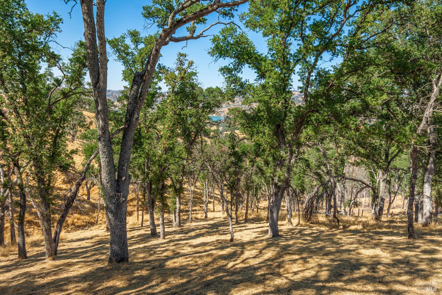 Detail Gallery Image 26 of 31 For 414 Woodhaven Ct, Napa,  CA 94558 - – Beds | – Baths