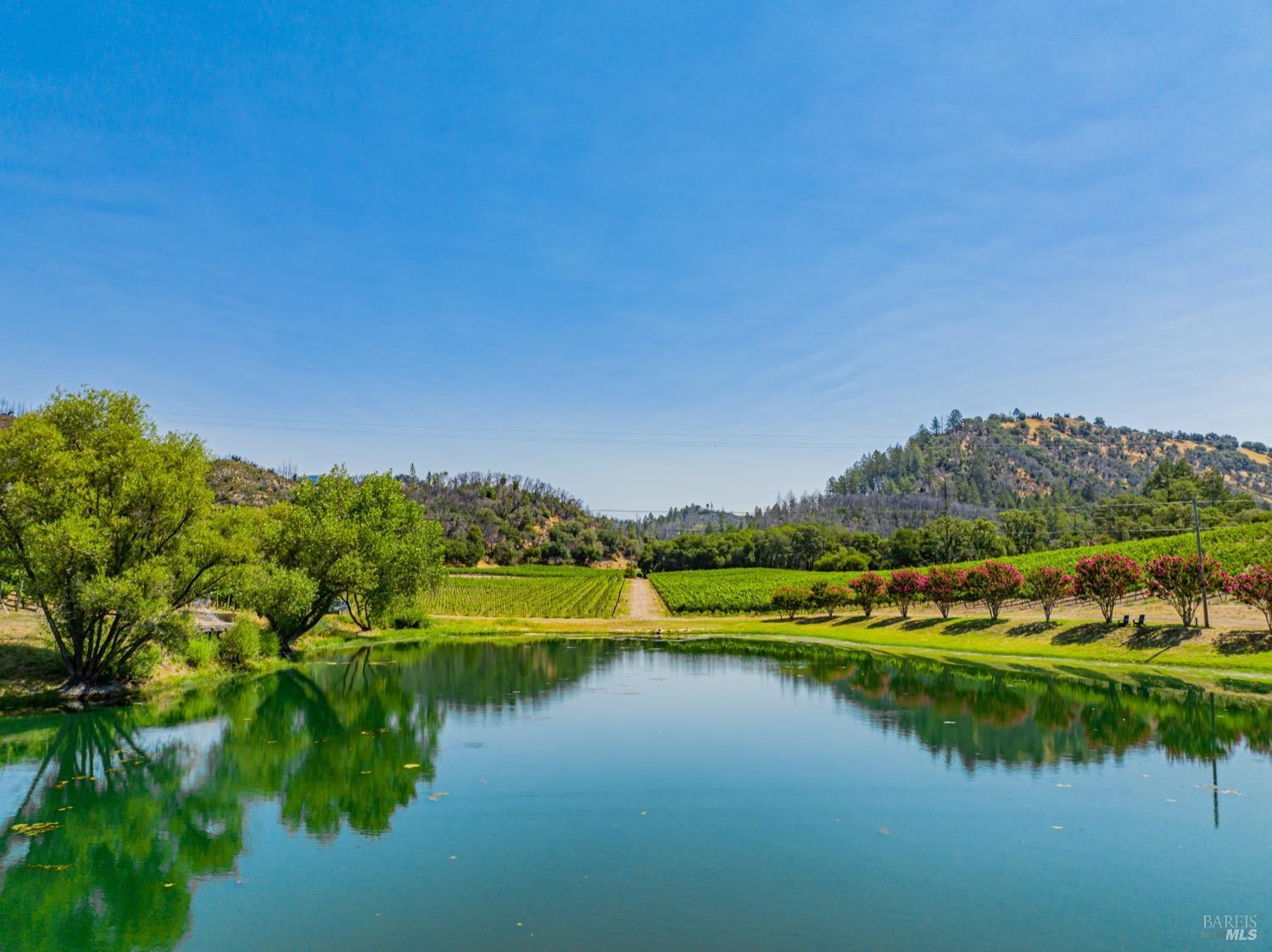 Detail Gallery Image 71 of 98 For 8320 Franz Valley Rd, Calistoga,  CA 94515 - 8 Beds | 8/2 Baths