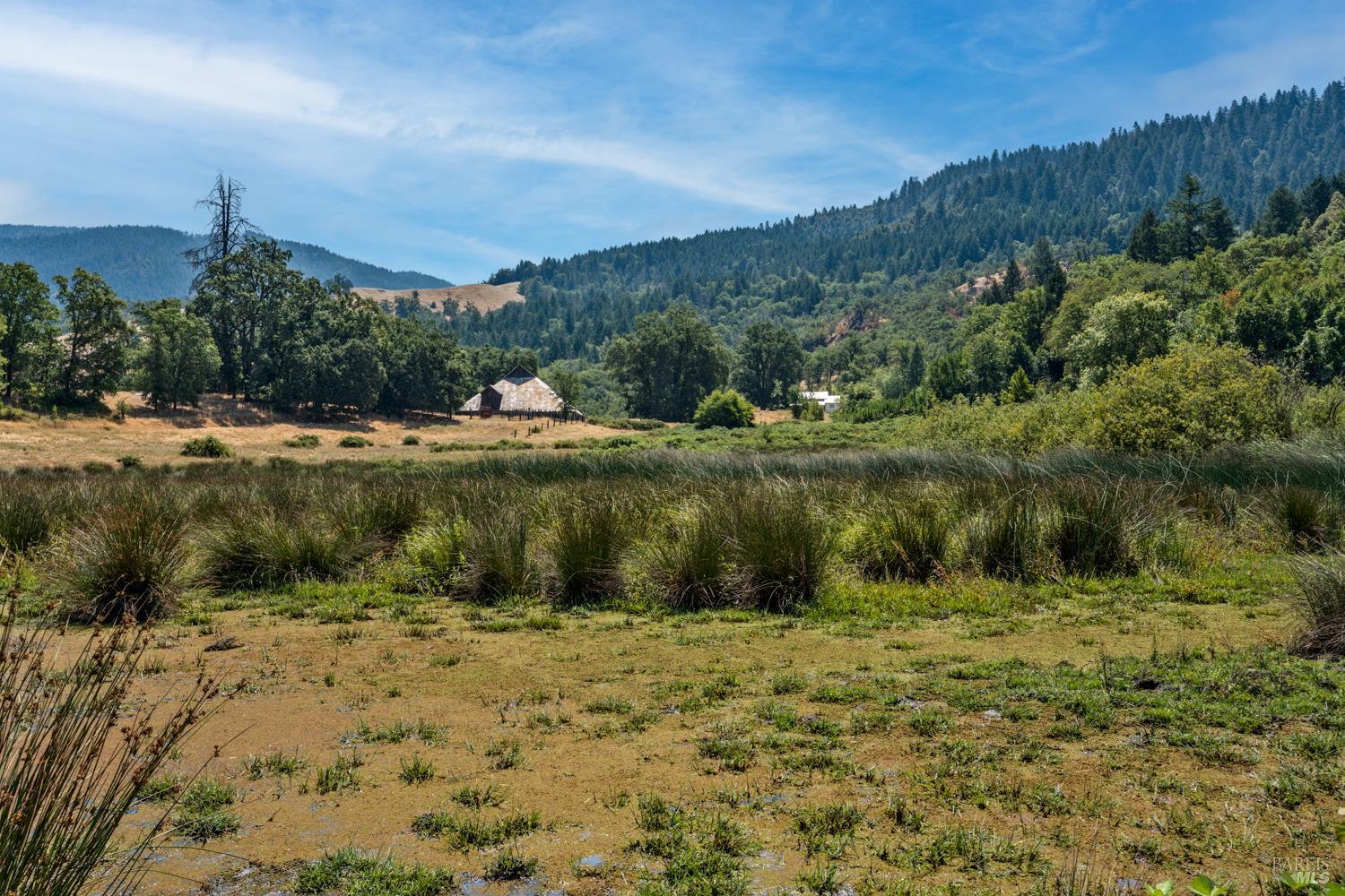 Detail Gallery Image 26 of 29 For 28000 Ridgeway Hwy, Potter Valley,  CA 95490 - 3 Beds | 1/1 Baths