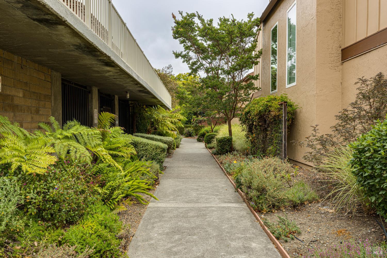 Detail Gallery Image 33 of 33 For 1550 Center Rd #45,  Novato,  CA 94947 - 2 Beds | 1/1 Baths