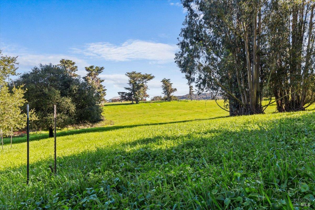 Detail Gallery Image 17 of 27 For 511 Fairview Ct, Petaluma,  CA 94952 - – Beds | – Baths
