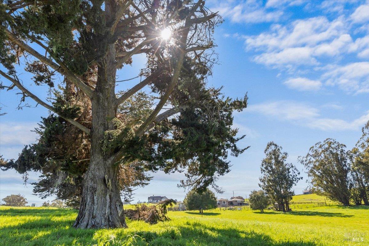 Detail Gallery Image 1 of 23 For 549 Fairview Ct, Petaluma,  CA 94952 - – Beds | – Baths