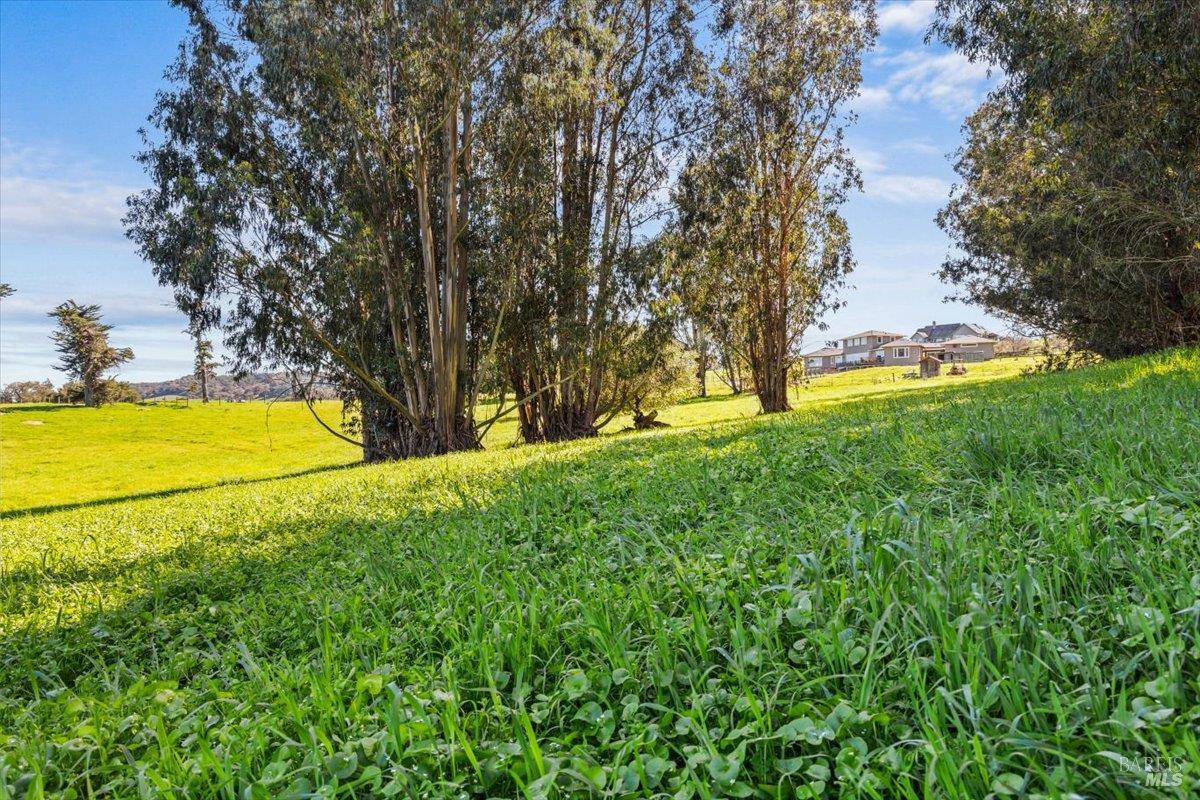 Detail Gallery Image 17 of 23 For 549 Fairview Ct, Petaluma,  CA 94952 - – Beds | – Baths