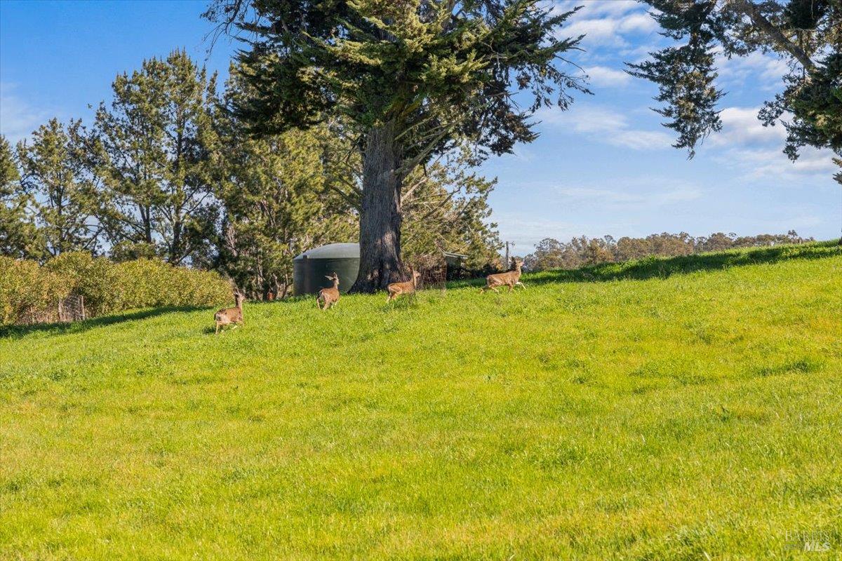 Detail Gallery Image 1 of 27 For 511 Fairview Ct, Petaluma,  CA 94952 - – Beds | – Baths
