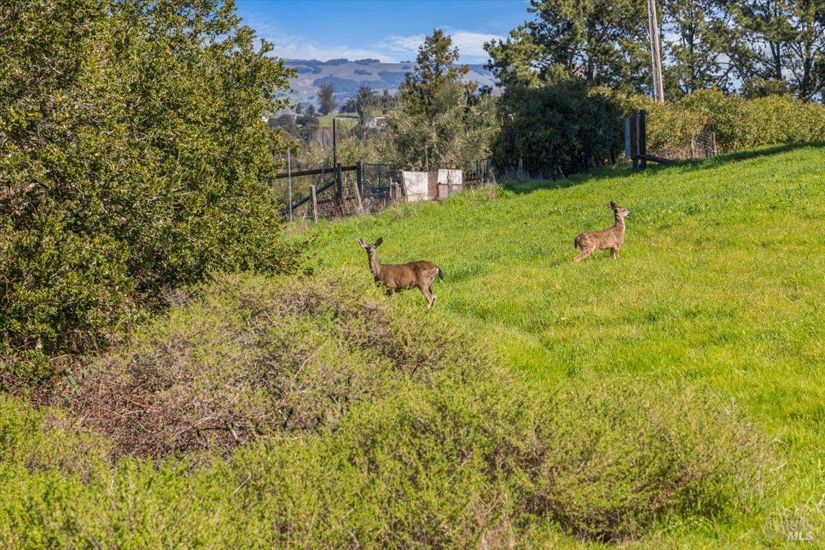 Detail Gallery Image 25 of 27 For 511 Fairview Ct, Petaluma,  CA 94952 - – Beds | – Baths