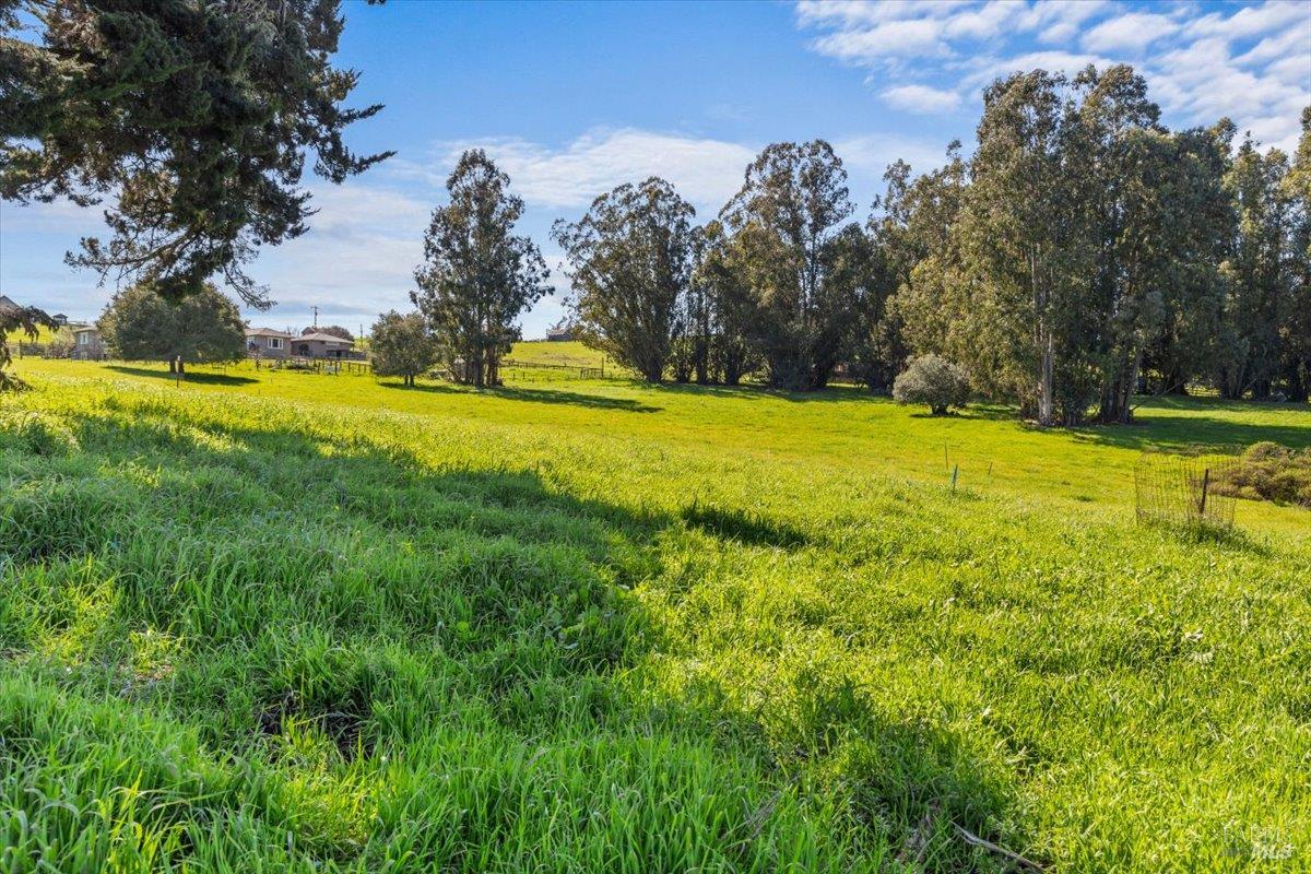Detail Gallery Image 14 of 23 For 549 Fairview Ct, Petaluma,  CA 94952 - – Beds | – Baths