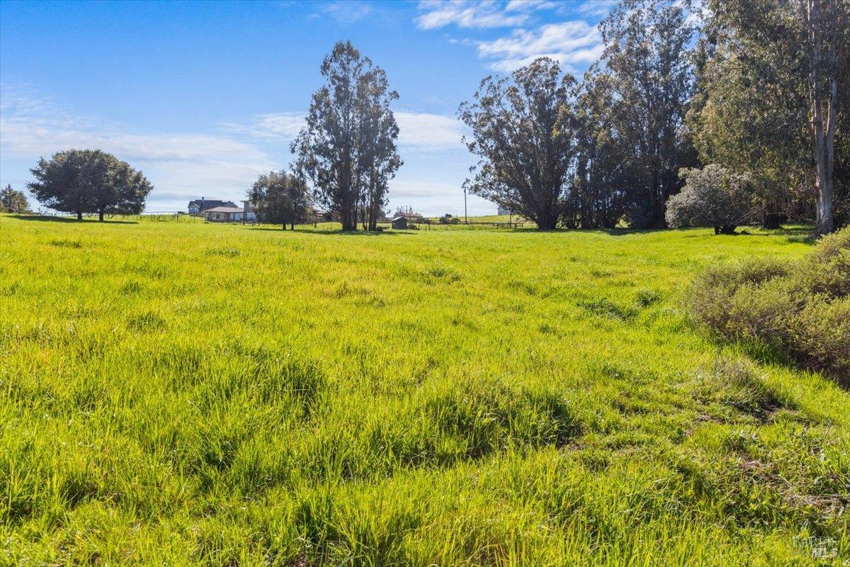 Detail Gallery Image 16 of 23 For 549 Fairview Ct, Petaluma,  CA 94952 - – Beds | – Baths