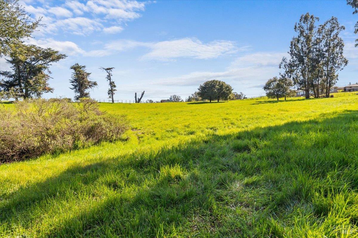 Detail Gallery Image 16 of 27 For 511 Fairview Ct, Petaluma,  CA 94952 - – Beds | – Baths