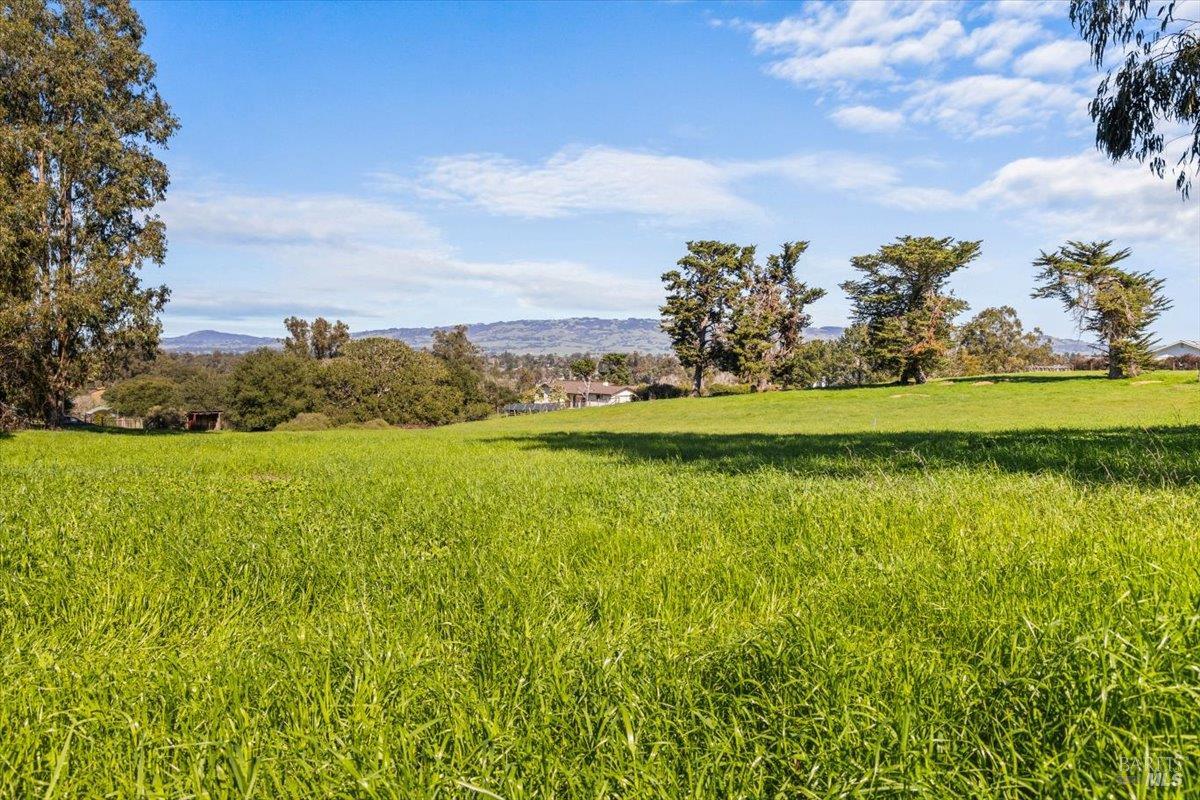 Detail Gallery Image 10 of 23 For 549 Fairview Ct, Petaluma,  CA 94952 - – Beds | – Baths