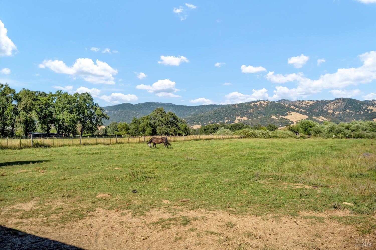 Detail Gallery Image 49 of 56 For 9099 E Side Potter Valley Rd, Potter Valley,  CA 95469 - 3 Beds | 3 Baths
