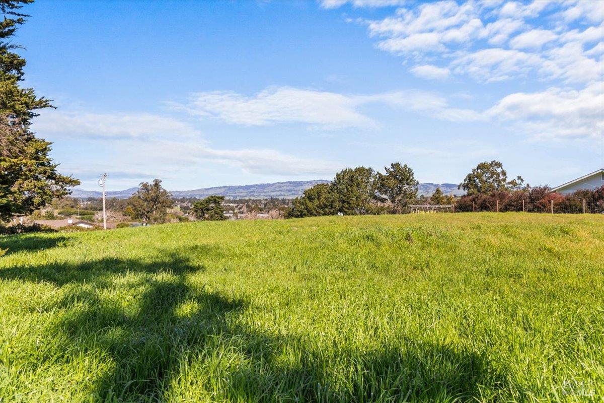 Detail Gallery Image 18 of 23 For 549 Fairview Ct, Petaluma,  CA 94952 - – Beds | – Baths