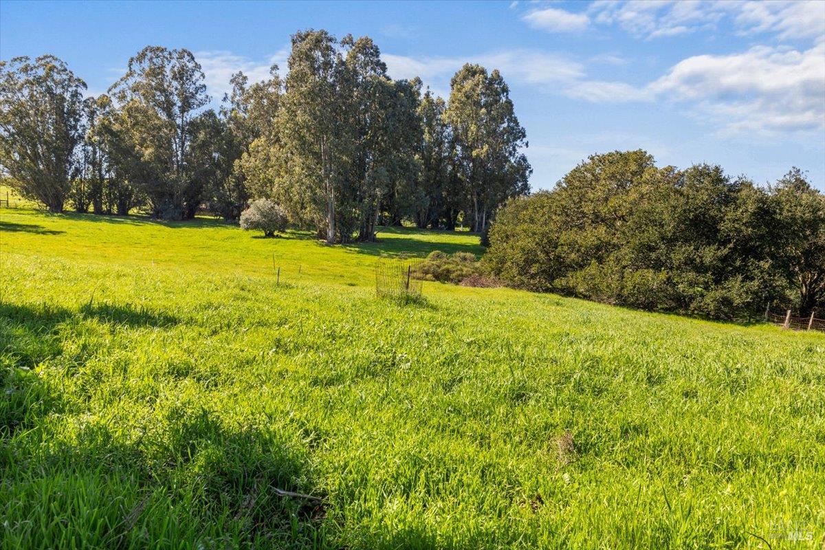 Detail Gallery Image 19 of 27 For 511 Fairview Ct, Petaluma,  CA 94952 - – Beds | – Baths