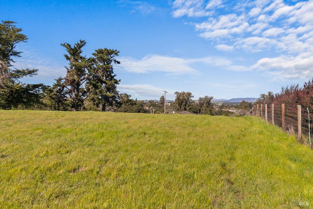 Detail Gallery Image 23 of 27 For 511 Fairview Ct, Petaluma,  CA 94952 - – Beds | – Baths