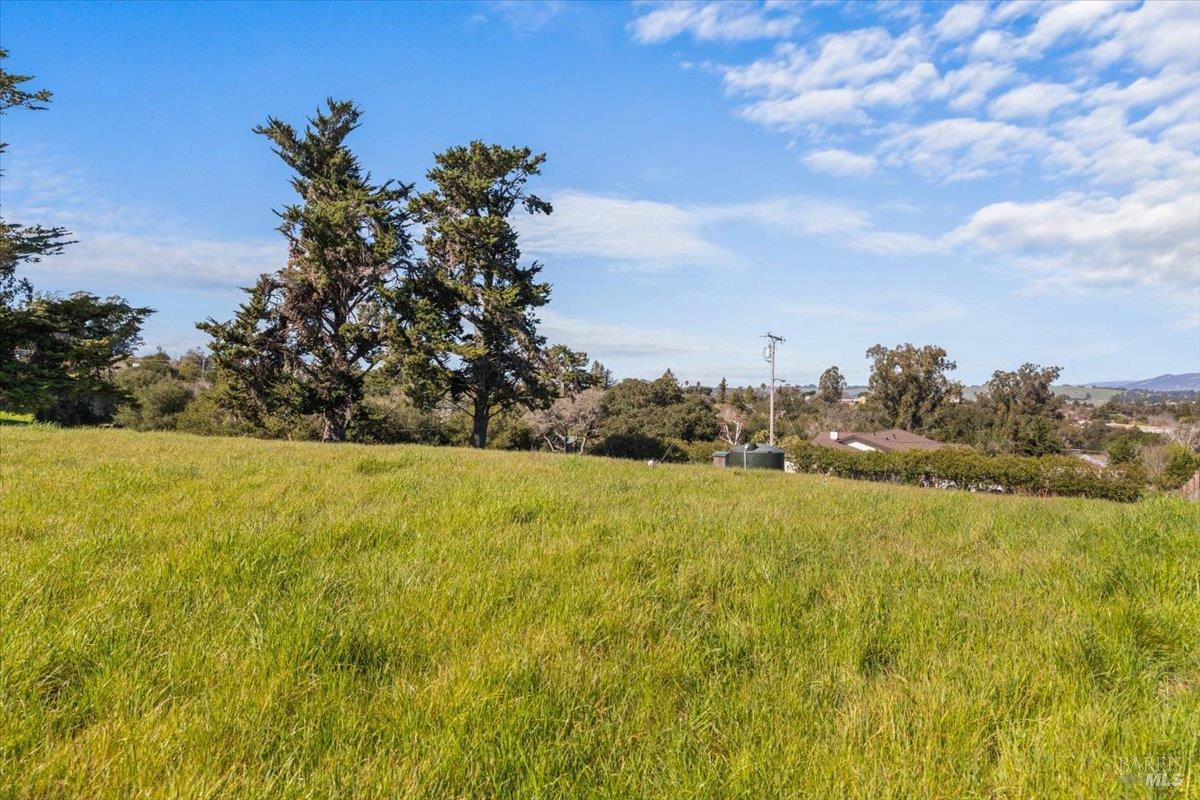Detail Gallery Image 22 of 27 For 511 Fairview Ct, Petaluma,  CA 94952 - – Beds | – Baths