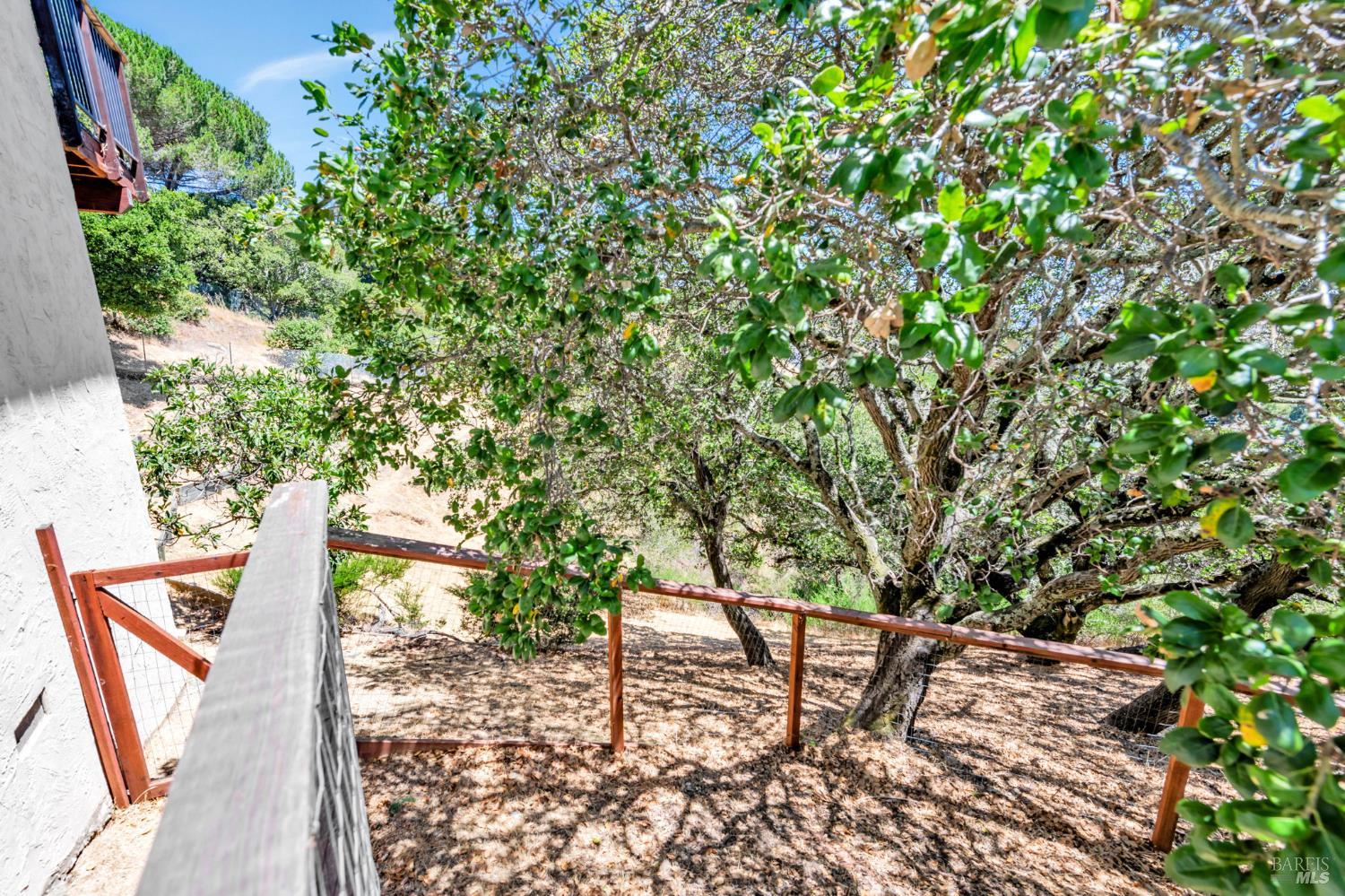 Detail Gallery Image 41 of 44 For 155 Dominican Dr, San Rafael,  CA 94901 - 3 Beds | 2/1 Baths