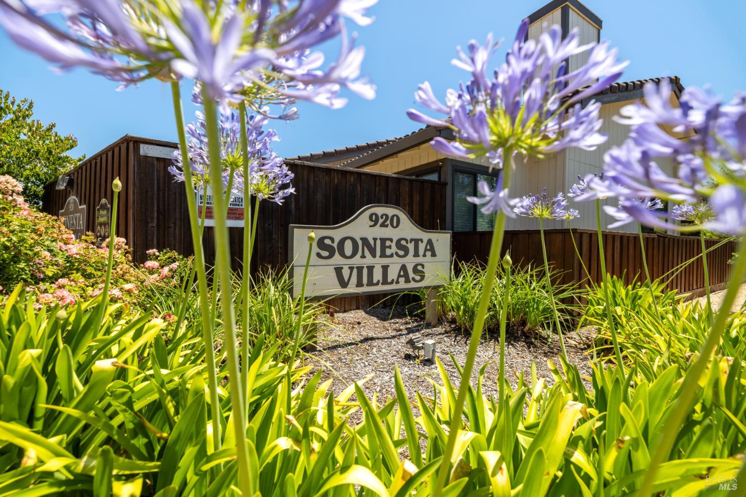 Detail Gallery Image 45 of 51 For 920 5th St #Q,  Sonoma,  CA 95476 - 2 Beds | 2 Baths