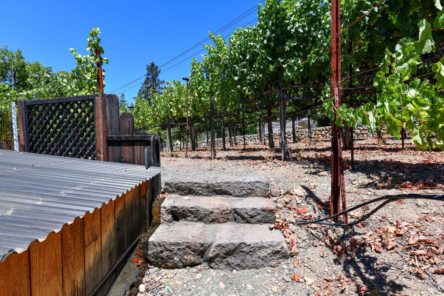 Detail Gallery Image 10 of 57 For 455 Glass Mountain Rd, Saint Helena,  CA 94574 - 3 Beds | 2 Baths