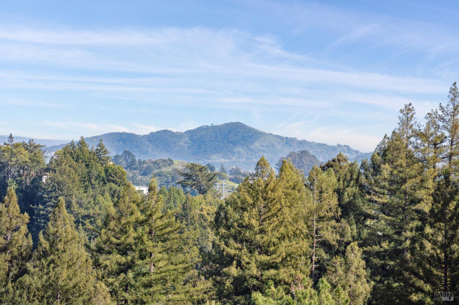 Detail Gallery Image 41 of 44 For 45 Beverly Ter, Mill Valley,  CA 94941 - 3 Beds | 3 Baths