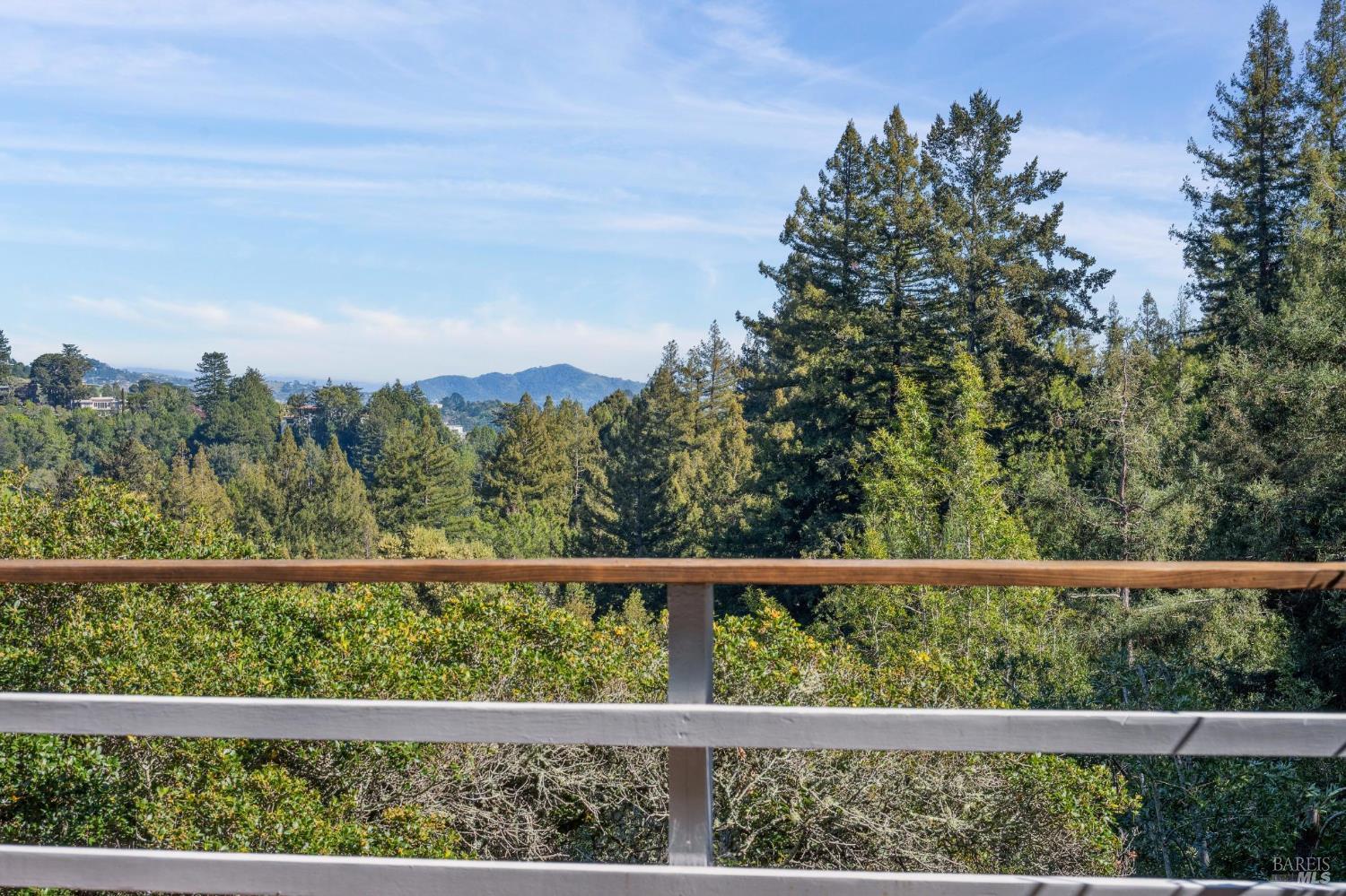 Detail Gallery Image 44 of 44 For 45 Beverly Ter, Mill Valley,  CA 94941 - 3 Beds | 3 Baths