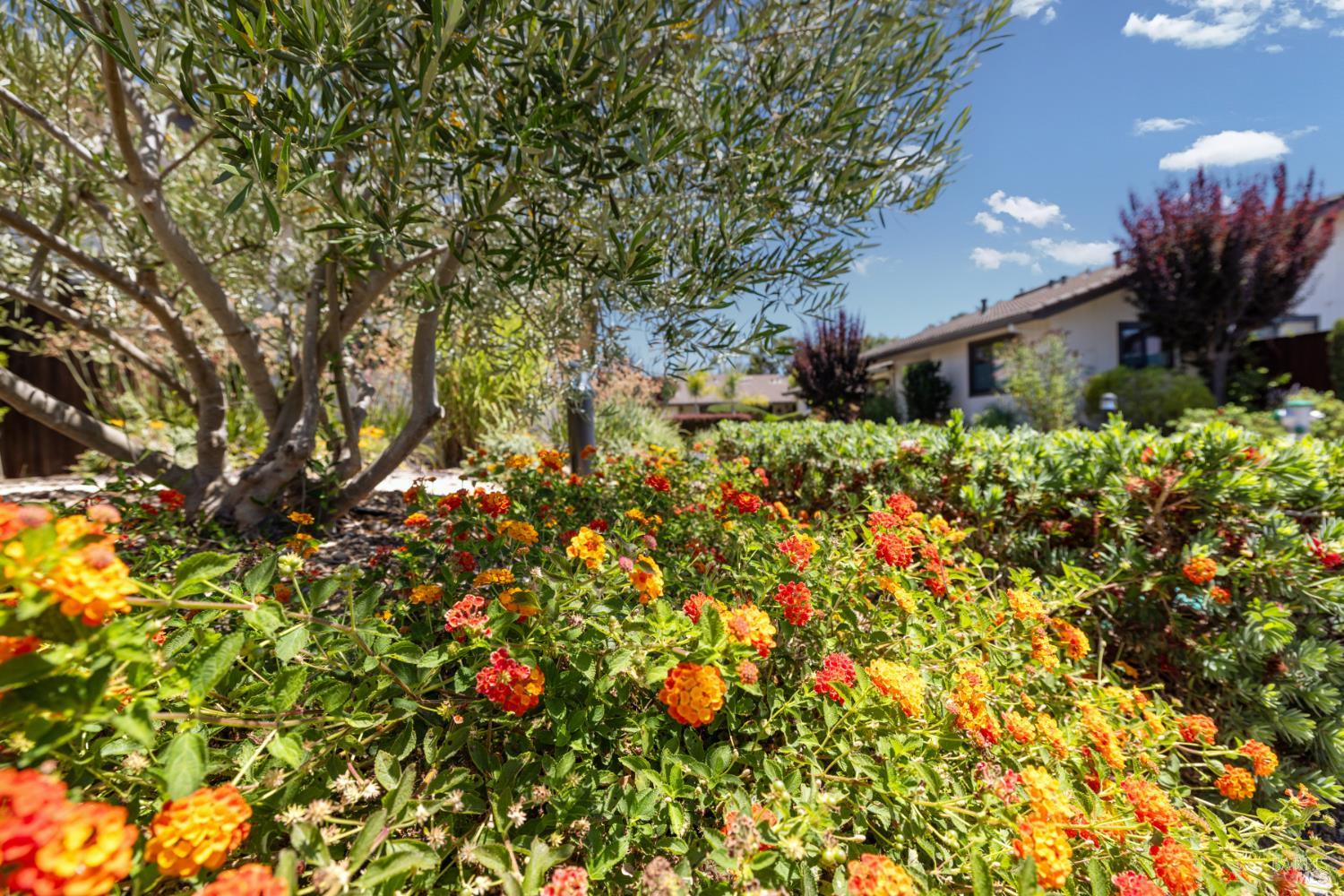 Detail Gallery Image 44 of 51 For 920 5th St #Q,  Sonoma,  CA 95476 - 2 Beds | 2 Baths