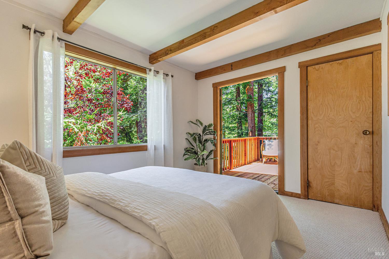Detail Gallery Image 27 of 42 For 230 Del Casa Dr, Mill Valley,  CA 94941 - 4 Beds | 2/1 Baths