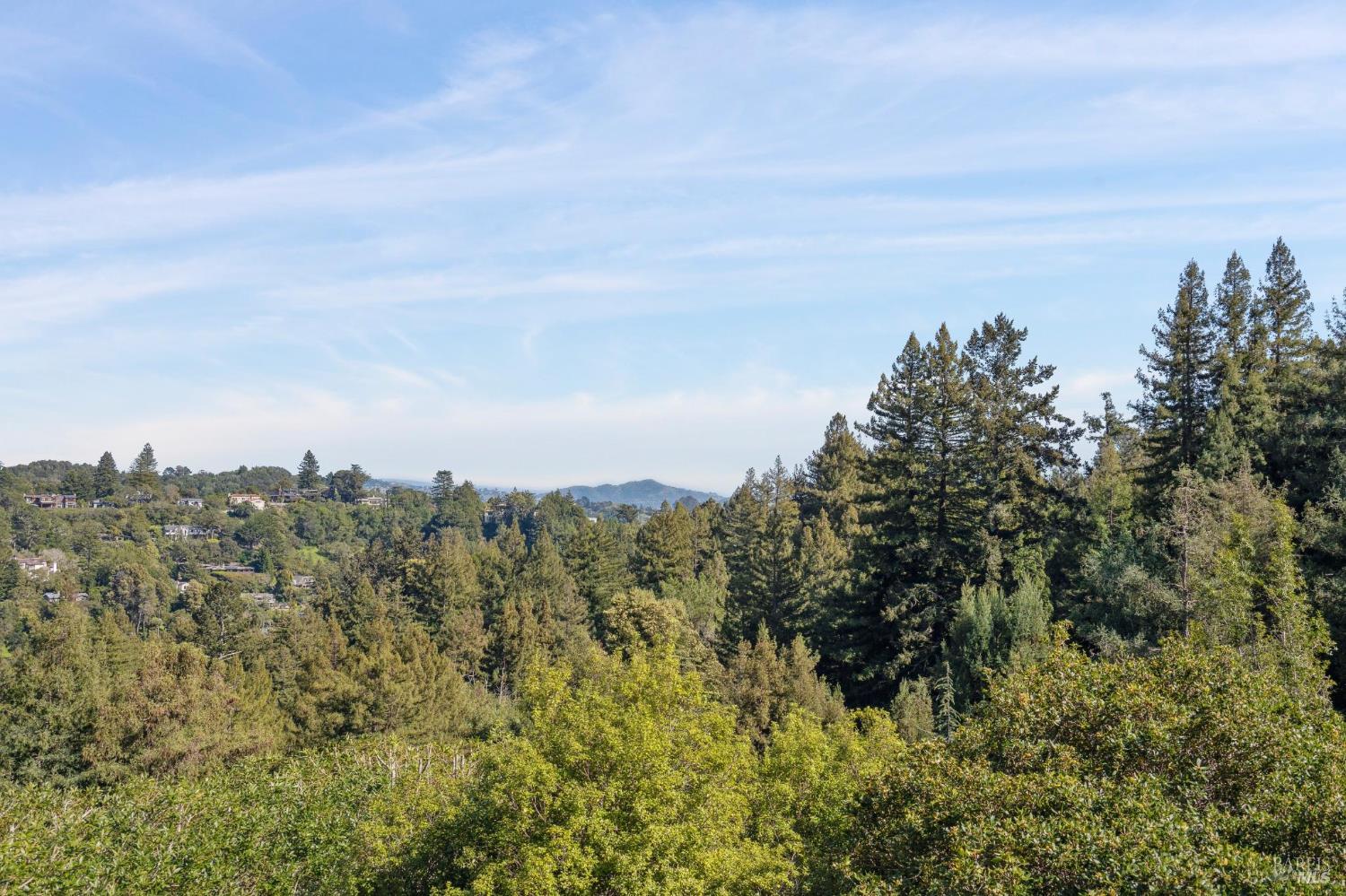 Detail Gallery Image 40 of 44 For 45 Beverly Ter, Mill Valley,  CA 94941 - 3 Beds | 3 Baths